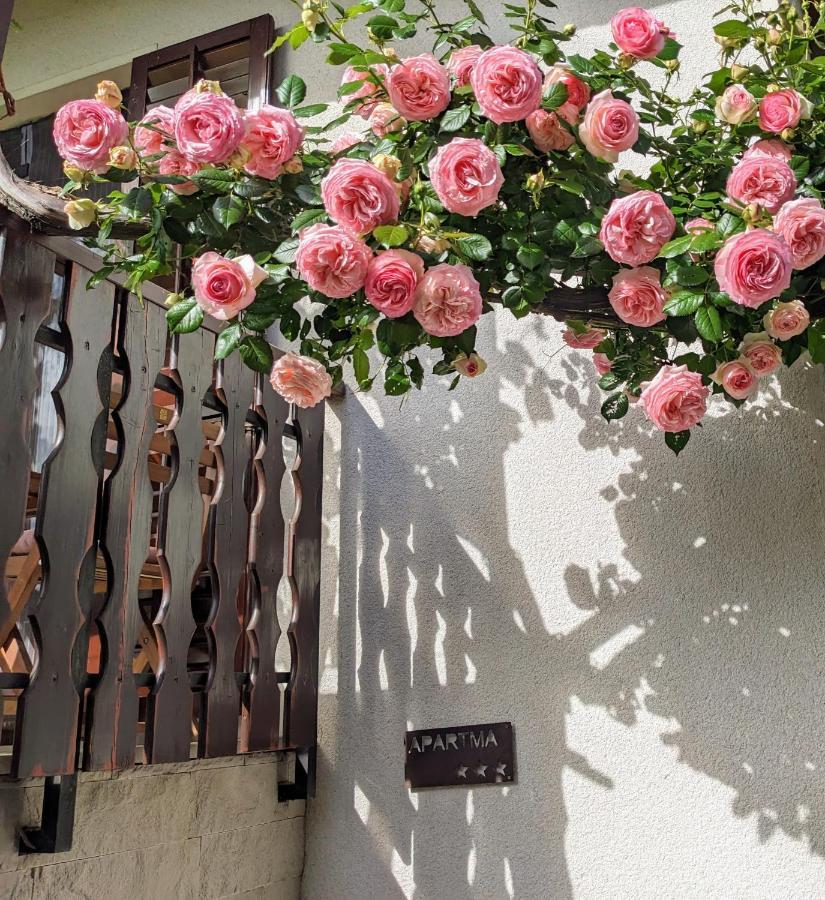 Apartment Kolodvor Dornberk Dış mekan fotoğraf